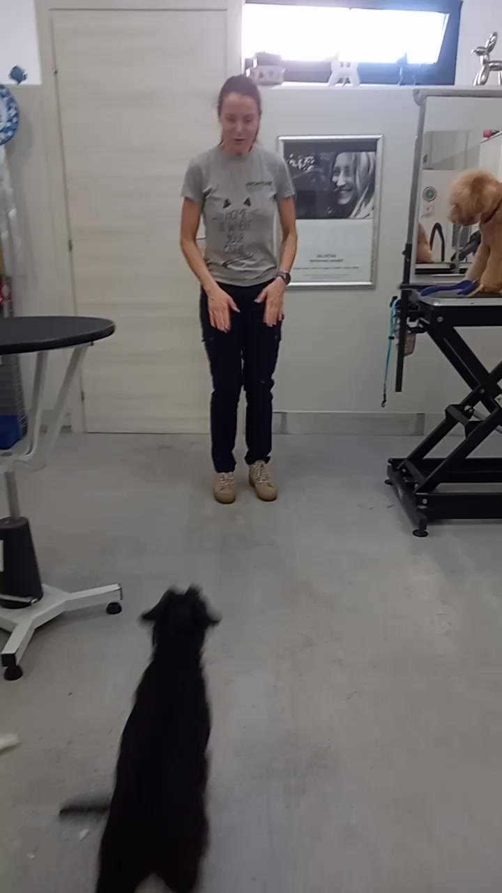 Oggi scene da film 🤣
Dora&Glu'
#dirtydancingchallenge #groomingsalon #schnauzerlovers