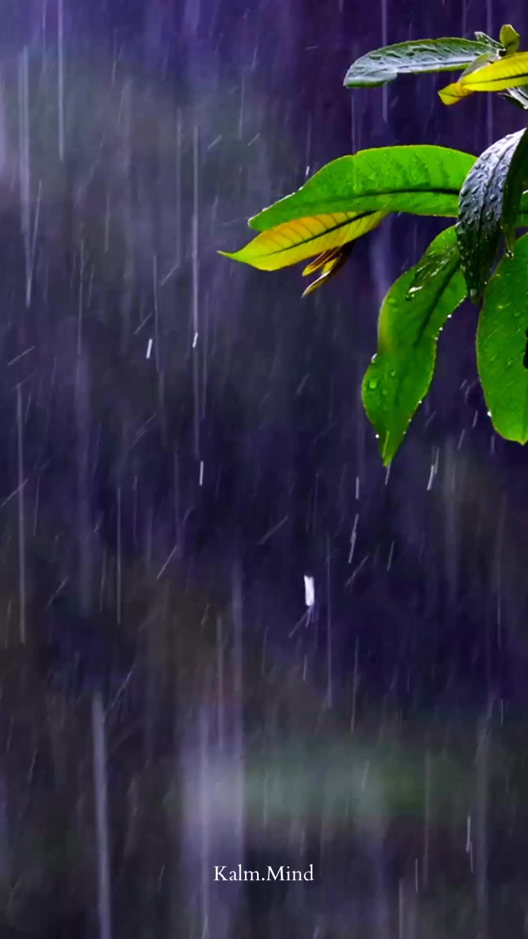 Video 2.🧡
If winter shifts your energy or mood, this might help you understand it a little more 🧡
With love Nicole x
#lowmood #inspiration #moodandmindtherapy #smallsteps #love