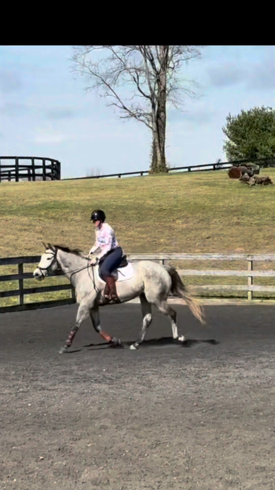 First baby jumps for Willing last week. 💕