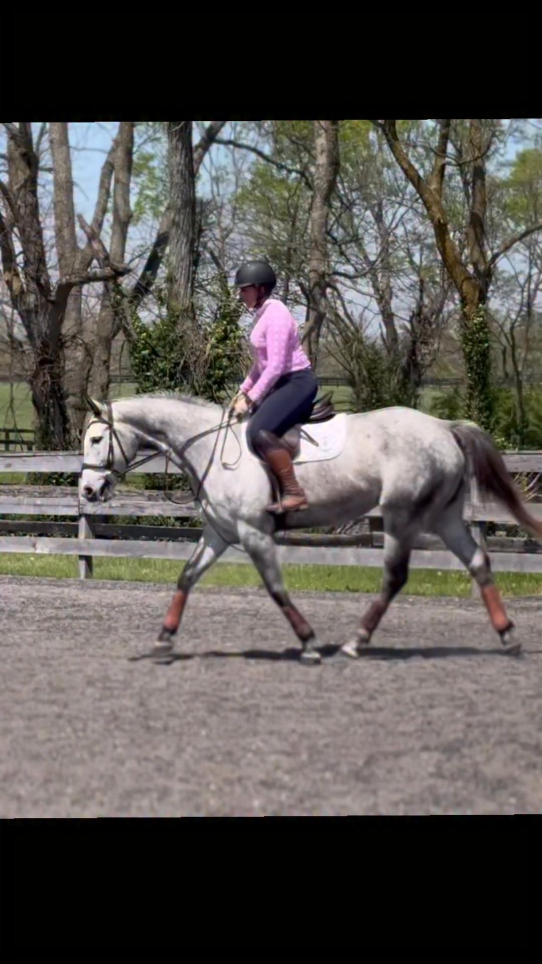 Willing is just as her name suggests! I have had the best time getting this girl going, and now it's time to help her find her perfect partner!