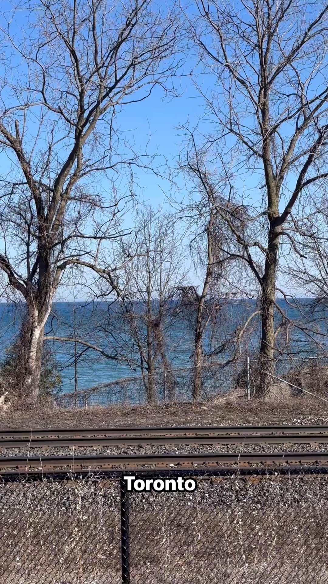 Fresh air, soft breeze, and that peaceful feeling you only get by the water… this is your reminder to slow down and enjoy the little moments. Toronto in spring is truly something special 🌸
#Toronto #LakeOntario #TorontoLife #SpringInToronto #WaterfrontWalk #TorontoViews #ExploreToronto #NatureVibes #SpringVibes #PeacefulMoments #TravelReels #CityWalks #FreshAir #TorontoSpring