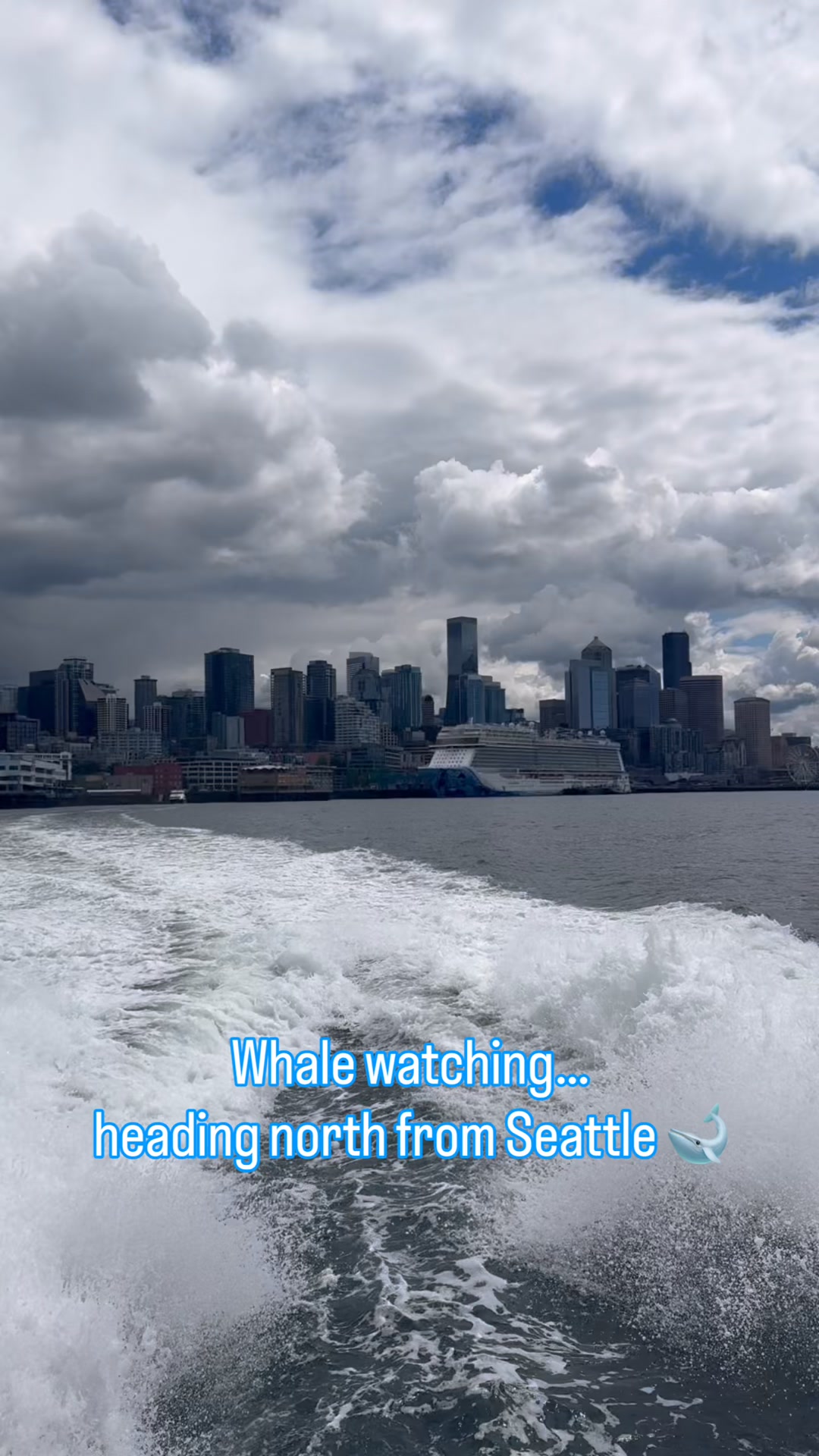 Phil and I went whale watching on the Clipper this weekend for our anniversary. This was one of his best ideas ever. 🐋
The weather was amazing up by Whidbey Island even while there was a hail storm back home. 😳This was a real bonus because it he humpback made us wait for long stretches between sightings.
We had never seen grey whales or humpback whales in the wild before and for the first time ever I finally understood how that baleen works. Apparently grey whales were not seen in these waters for 100 years until their return in 2003.
The crew said the young humpback had no known markings so he maybe a newcomer to the Salish Sea. 💚
It was fun to be on a boat full of curious people as we scuttled from one side to the other looking for those giant sea creatures.
@frsclipper
#WhaleWatching #GreyWhale #DoubleFluke #HumpbackWhale #Nature #Resilience