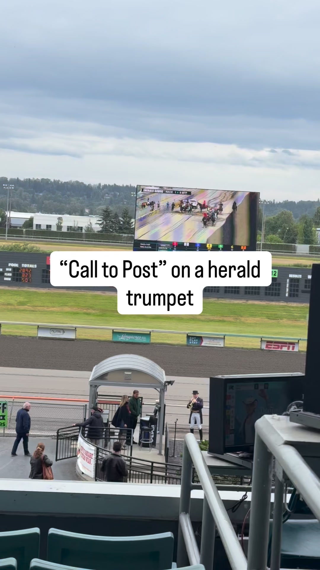 Dan Harrington on a herald trumpet at Emerald Downs
I’d never seen trumpet like that and had to go ask him what it was between the races. He would play a different time each time before moving into “Call to Post” just as the lead horses walked past him.
#EmeraldDowns #HeraldTrumpet #Wonder #ArtInLife #MusicalArticulation