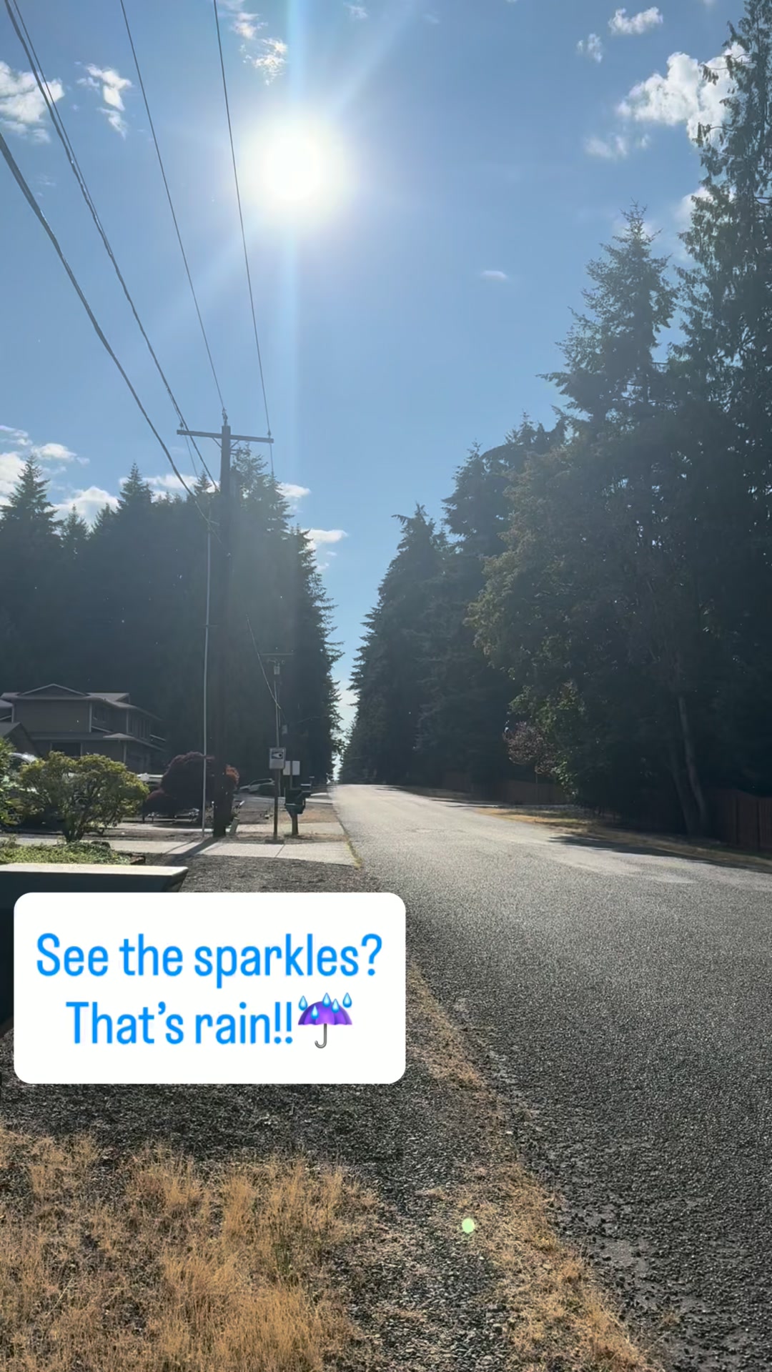 Such a strange feeling to walk out in the sunshine while it was raining yesterday!