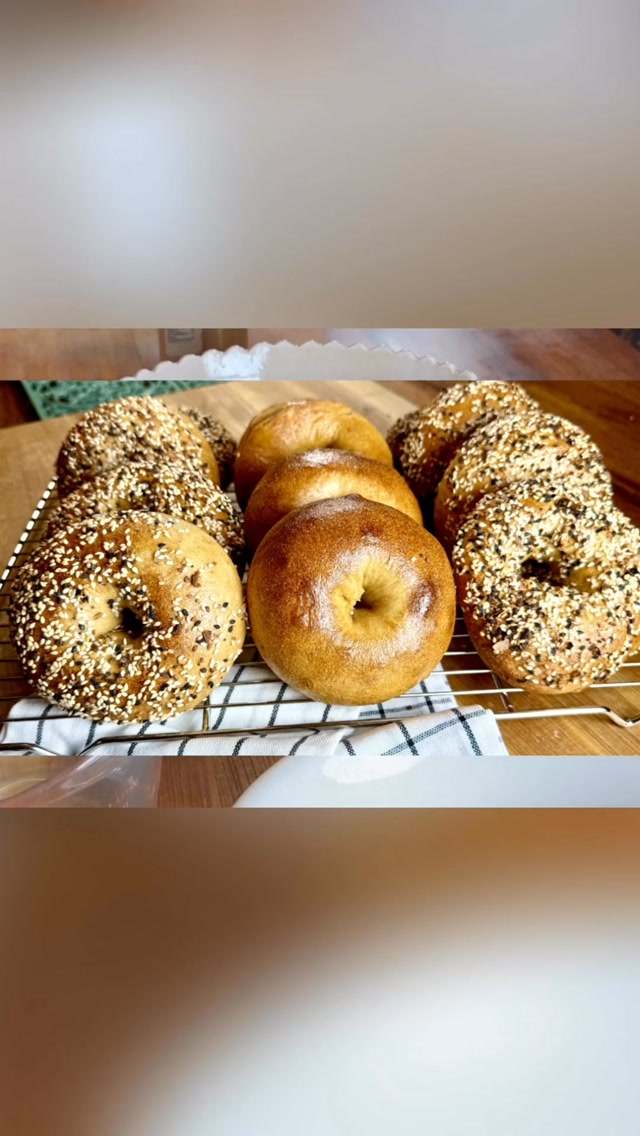 What’s the key to making delicious freshly milled flour bagels? The method and flour blend are absolutely key!!
Full video is on my channel with the printable recipe link.
YouTube link in profile 🥯
If baking with freshly milled grains is your thing you may enjoy the whole series we’ve go going ❤️.
#freshlymilled #homesteadkitchen #wholegrains #breadbaking #bread