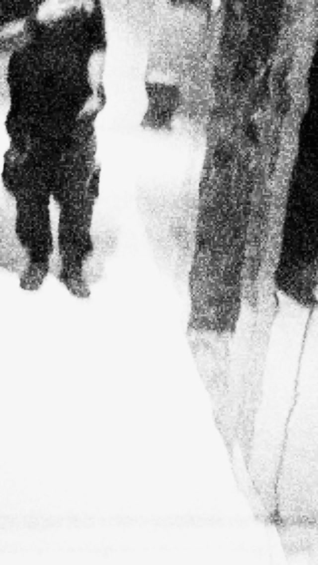 nothing rises without changing shape.
movement alters perception.
pressure alters form.
eventually, the familiar becomes something else.