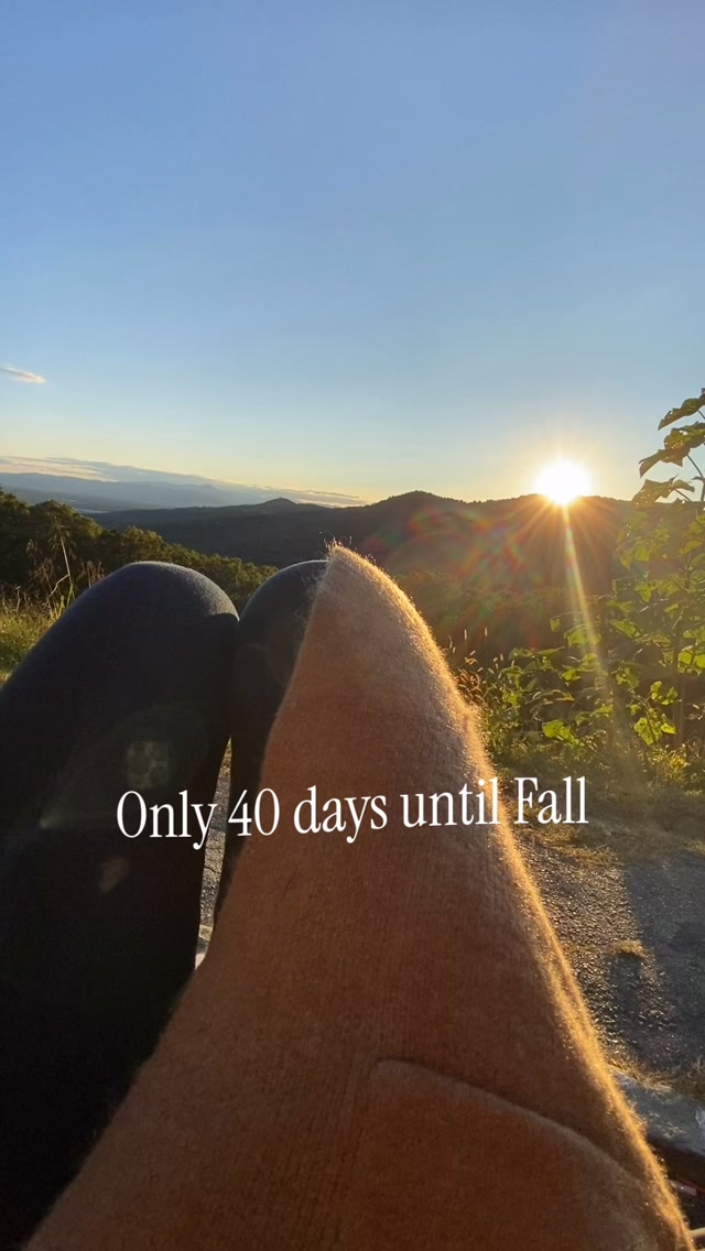 In 40 days the Blue Ridge Mountains will start to look like this…🍂🍁