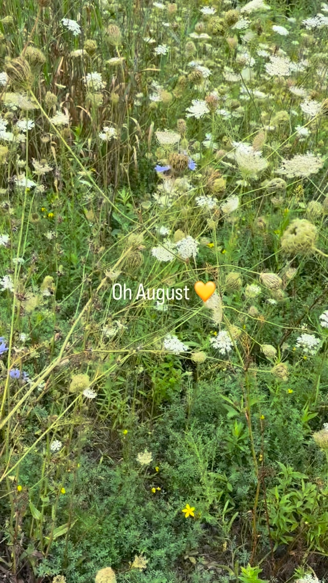 Mid-August sunshine, wildflowers, dusty hands and friends. 🌼☀️
Today was kiln prep day, with some favourite people gathering to get Alice ready for a late-summer firing. There’s something pretty special about a group of potters working together—stacking, cleaning, planning, hauling, laughing…. 🔥
Summer is still hanging on, the flowers are going wild, and Alice is almost ready to do her thing.
Here’s to late-summer firings, full kilns and the magic that happens when we gather. 💛
#pottery #theye11ow #pec #princedwardcounty #noborigama