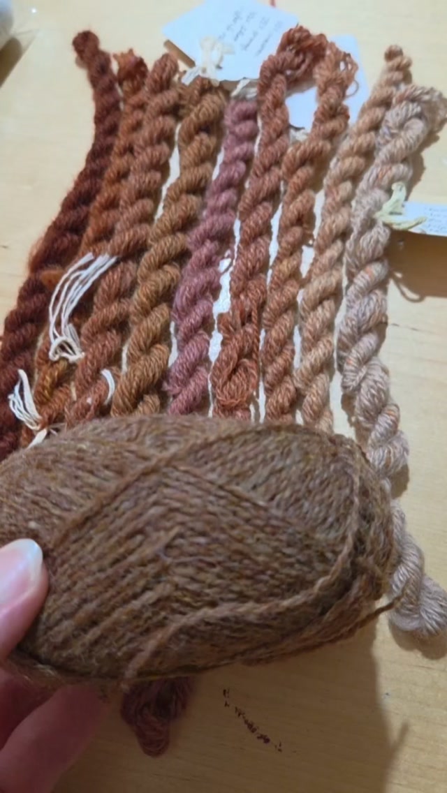 Getting ready for our upcoming Marie Wallin Yell Cardigan knit along! 🧶✨
I’m prepping for this knitting group project with 4 original yarn colors, but I decided to make the colorwork extra special by spinning the remaining 10 shades myself. 😍💪
Here’s where I need your help with my handspun yarn choices! I need to match a secondary background shade to pair with my main brown yarn. I blended 9 different handspun variations—ranging from soft beige and toasted cinnamon to warm rust and rich terracotta.🎨
Do you think one of these 9 options works with my brown shade?
👇 Cast your vote in the comments below! Which number shade would you pick for this knitting project?
#ColorworkKnitting #HandspunYarn #Knitting #KnittersofInstagram #FairIsleKnitting