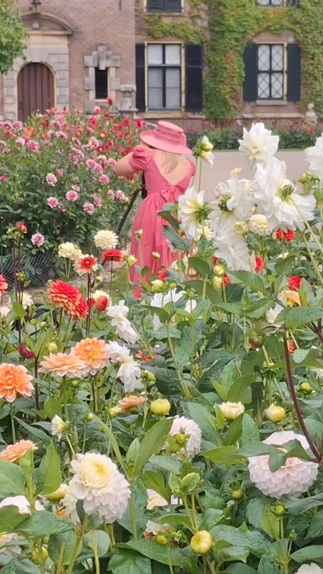 В замке Кёкенхоф (Kasteel Keukenhof) в городе Лиссе пройдет масштабный фестиваль цветов. Сады замка украсят масштабными фигурами и композициями из тысяч георгин! 🌸🌺🌼
В субботу и воскресенье (29–30 августа) в этом регионе выставят более 100 цветочных картин-мозаик.
Вход в сады замка абсолютно бесплатный!Сохраняйте локацию и отправляйте друзьям, с кем хотите туда поехать!
Локация на картах: Kasteel Keukenhof, Lisse.
#георгины #нидерланды🇳🇱 #гидвамстердаме #голландия