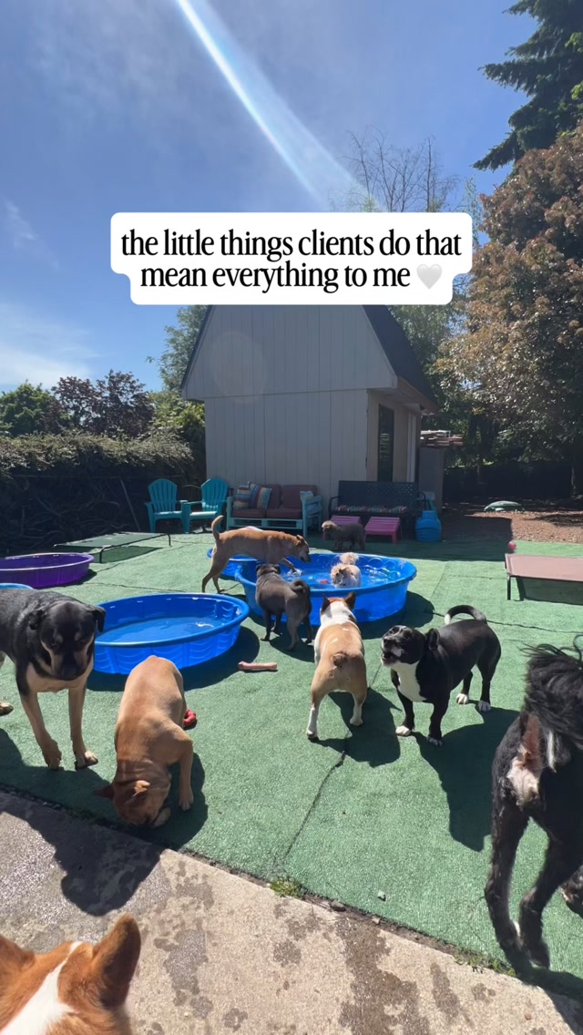 Love all of those things. #pawsplayhouse 😍🥰😍🥰❤️🫶🏻