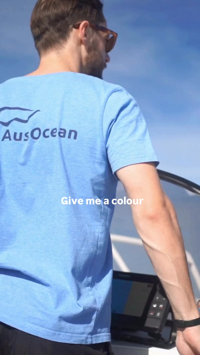 Our favourite colour? Mlue 💙🌊
.
.
.
.
.
.
.
.
.
.
.
#AusOcean #Mlue #OceanLife #Underwater #MarineLife OceanConservation BluePlanet ProtectOurOceans