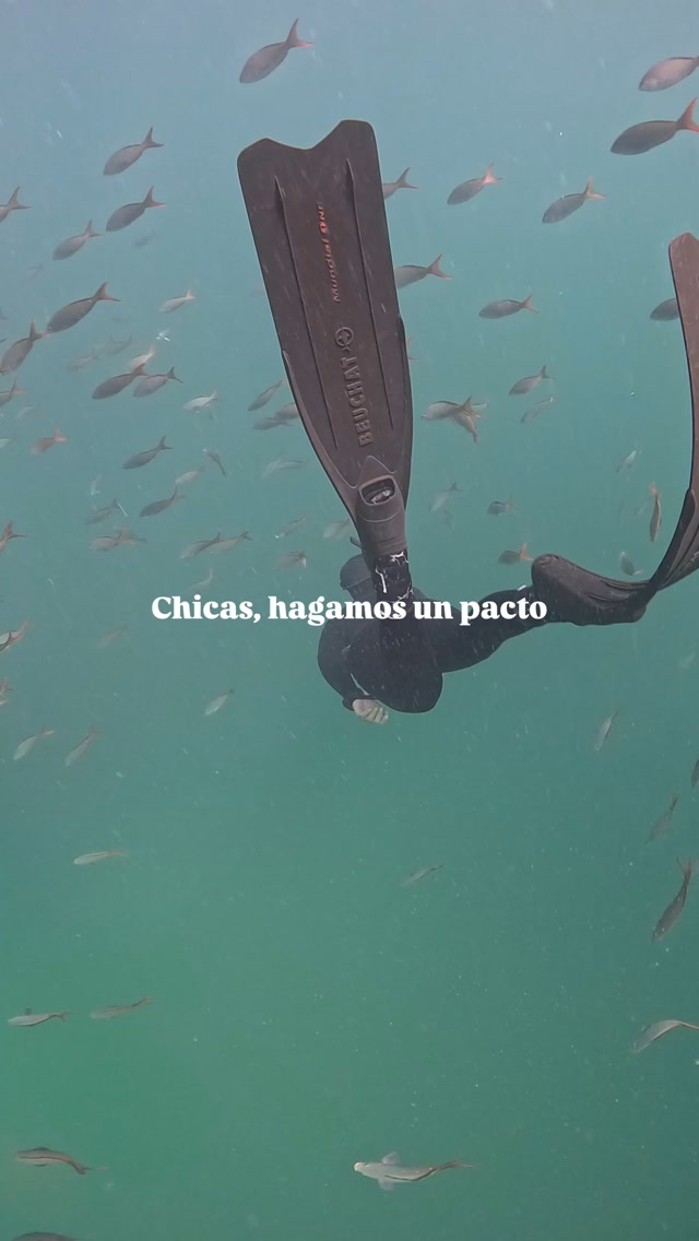 Hagamos un pacto de vivir de manera que mantegamos una conexión real con nosotras mismas y el mundo azul. 💧
Pensamos en experiencias para ustedes: niñas, mamás, amigas, hermanas, mujeres que quieren volver a asombrarse. Salir a ver arrecifes, escuchar cómo canta una ballena, aprender una disciplina nueva para tu cuerpo o por qué vale la pena cuidar una especie.
💬✨ ¿Qué experiencia crees que necesitas vivir pronto?
— ENG —
Let’s make a pact to live in a way that keeps a genuine connection with ourselves and the blue world. 💧
We’ve thought of experiences for you: girls, moms, friends, sisters, women who want to rediscover a sense of wonder. Go out to see coral reefs, listen to a whale sing, learn a new physical discipline, or discover why it’s worth protecting a species.
💬✨ What experience do you think you need to have soon?
-
-
-
-
-
freediving women, apneistas, freediving life, ocean adventures, mujeres del mar, apnea mexico, freediving retreat, certificacion apnea, baja california sur, ocean lover, aprende apnea, freedivers, mujeres que inspiran, retiros para mujeres, viajes con proposito, apnea community