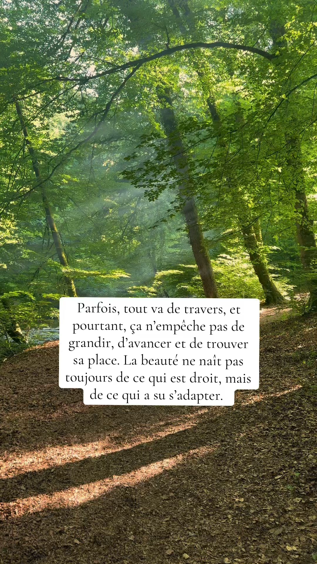 Il n’est pas nécessaire que tout soit parfait pour que quelque chose de beau puisse naître. Certains détours nous façonnent bien plus que les chemins tout tracés.
#Résilience #CheminDeVie #LâcherPrise #Grandir #Inspiration