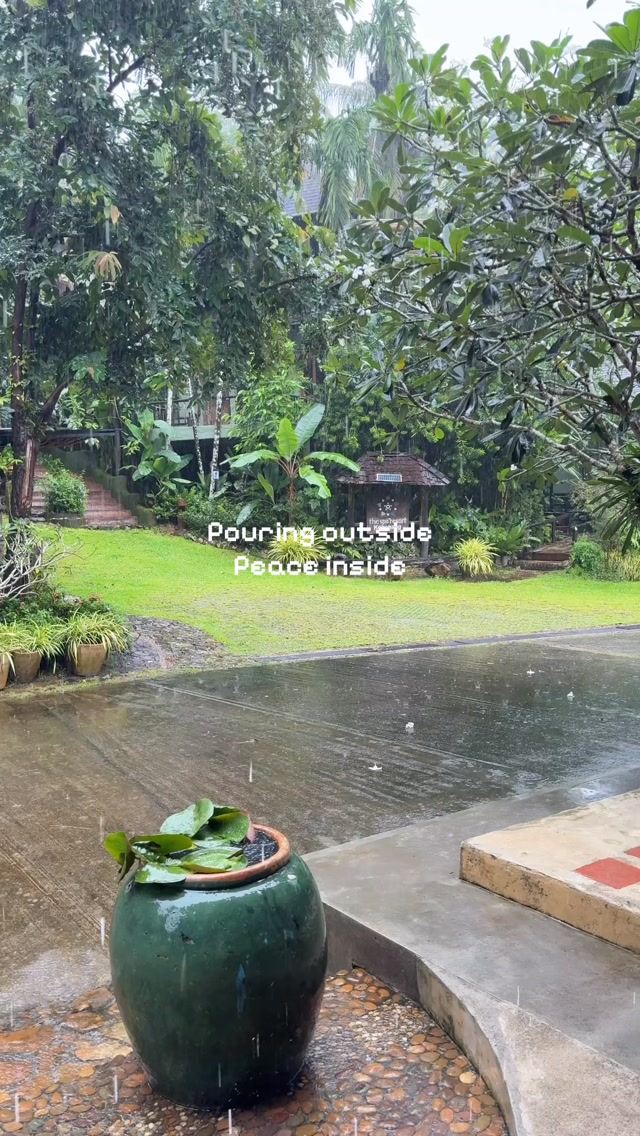 Nothing rushed today, just the rhythm of the rain. 💆♀️☔️🌳
#wellnessresort #kohchang
