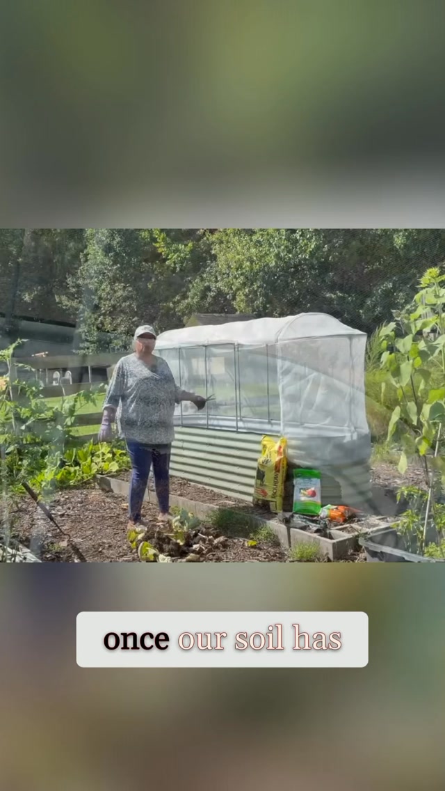 It’s is extremely important to be super cautious with how you handle diseased plants.
It’s like the plant disease knows how to spread and will not miss an opportunity to do so.
All of the plant not just the obviously diseased parts must be removed from your garden entirely.
Feeding the garden beds with compost is a huge help even if you’re not planting a Fall garden. The ecosystem that lives in the soil will still benefit from a good feeding.
That little bit of extra care now will help get your next growing season off to a great start ❤️
For more gardening tips visit my YouTube channel, the link is in my profile
#homesteading #organicgardening #homesteadkitchen #composting #farmlife