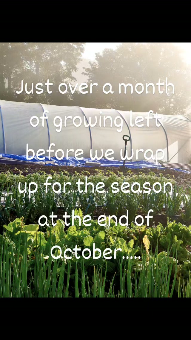 Not too long before we wrap up, so please keep up your support at the Spar in Llanfyllin, and Derwen Farm shop.....lots of exciting plans for next year.