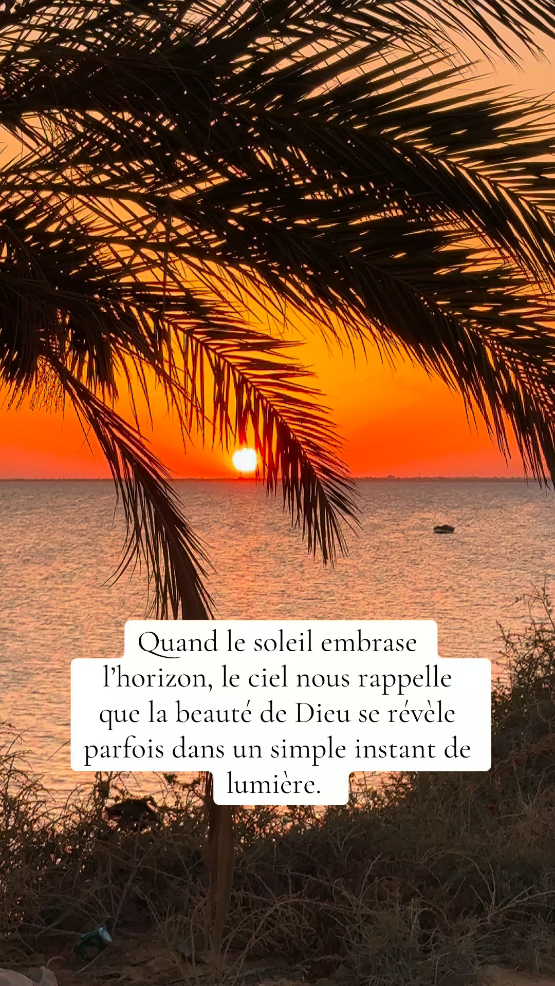 Quand le ciel décide de faire son plus beau spectacle.
Des couleurs incroyables, quelques minutes suspendues dans le temps, et cette impression que tout devient plus calme.
#CoucherDeSoleil #Sunset #GoldenHour #SunsetLovers #BeautifulSky #NatureLovers