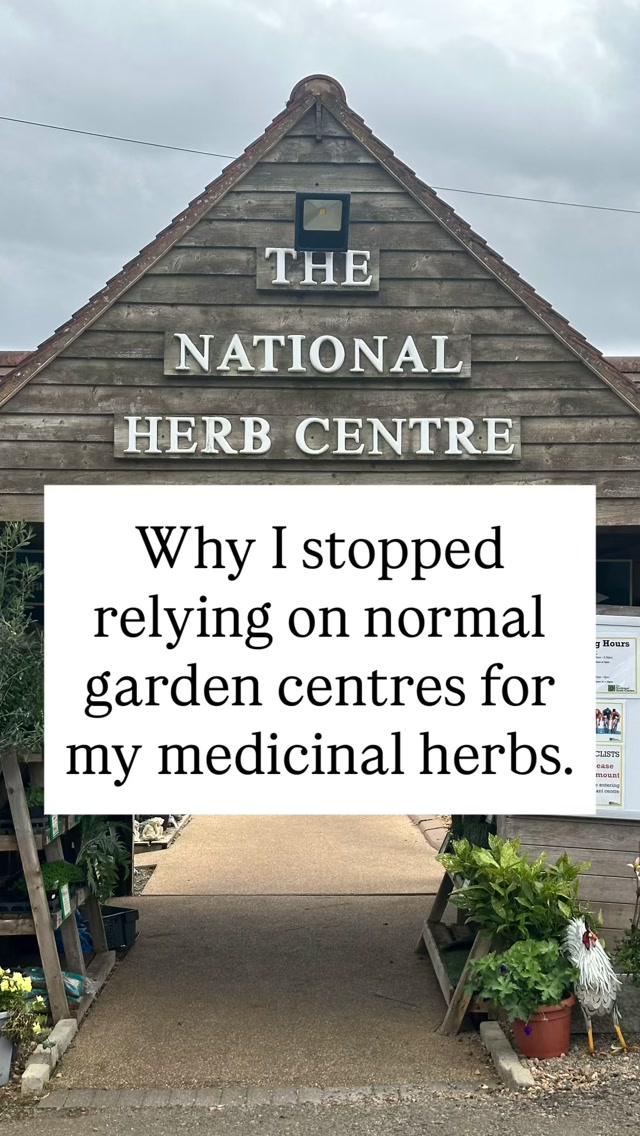 Had the best day out exploring the Cotswolds and popping into the National Herb Centre near Banbury! 🌿
Since starting my herbalist course this year, I’ve taken my herb garden very seriously. As a gardener, growing my own just makes so much sense compared to buying dried herbs online. Growing from seed or small plant means I know exactly where it’s come from, with zero nasties, just pure medicinal goodness.
My little plot by the greenhouse is already thriving with everything from valerian to chicory, but I’m always hunting for the unusual varieties you can’t pick up at a standard garden centre.
Today’s haul? Mugwort, dropwort, feverfew, and hyssop! I can’t wait to harvest and dry them all next year. ✂️🌱
What are you growing that isn’t regularly found in a UK border? Drop your unusual favorites below!👇
#HerbalismJourney #MedicinalHerbGarden #CotswoldsGardening #HomegrownHerbs #UKGardeners