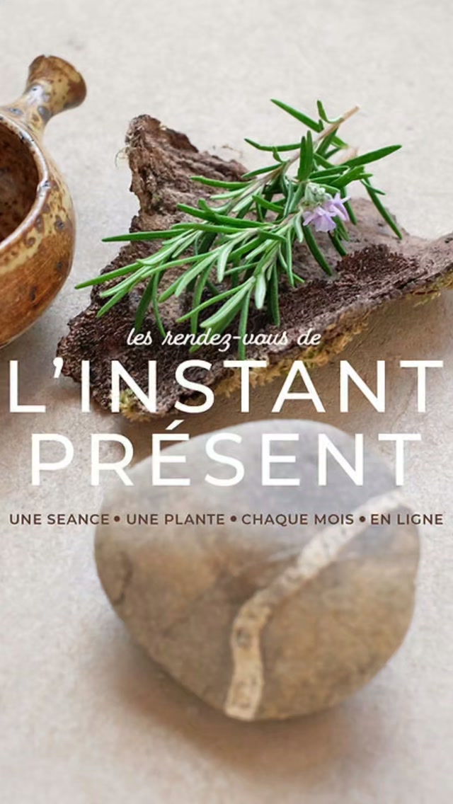 SEANCES SUR ZOOM !
Nous commençons dimanche les Rendez-vous de l'instant présent.
Objectif Paix interieure et Confiance !
Une heure
Une fois par mois
Une guidance vibratoire
Une séance de pratique
Une plante alliée
Sur zoom en live (et replay)
Pour nous rejoindre, rdv sur la boutique en ligne
Abonnement : 200 euros pour 10 mois pour évoluer et nous deployer, en conscience et confiance.
25 euros la seance d'essai.
🫶
Tu viens ?
#soinenligne #guerisonvibratoire #guidance #conscience #presenceaupresent