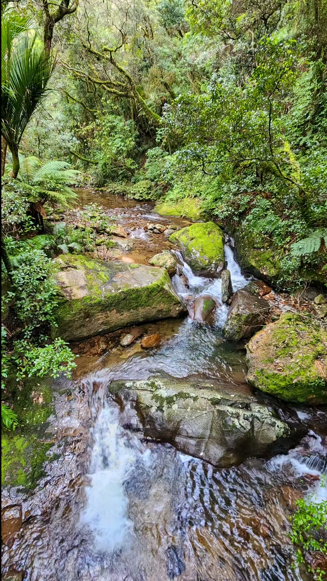 I don't have favourites when it comes to different tracks and trails in New Zealand.
But for my home region of Coromandel, I always forget about this little gem. It's just so pretty and perfect.
This trail is a great way to get a taste of Coromandel's subtropical forest, see a waterfall, and maybe go for a swim.
Walk or run, this one is a must-do whether you're short on time as a local wanting to get a quick run in, or short-on time travelling through the region and wanting to experience the region's nature.
Go and check the Wentworth Valley Falls track out for yourself. It won't disappoint!
Distance: 6 - 6.5km return.
#thecoromandel #coromandelwalks #newzealandnature