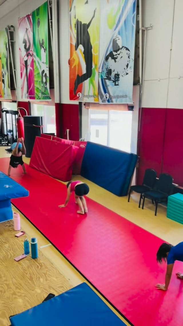 A typical iDive dryland session 💪🤸♀️
🔥 Warm-up
🤸 Technique & equipment training
💪 Strength & conditioning
🧘 Relaxation & stretching
Building skills, strength, flexibility, and confidence — one session at a time.
Great diving starts with great fundamentals — and many of those fundamentals are built on land. 💙
#teamifive #DrylandTraining #Diving #idivevancouver