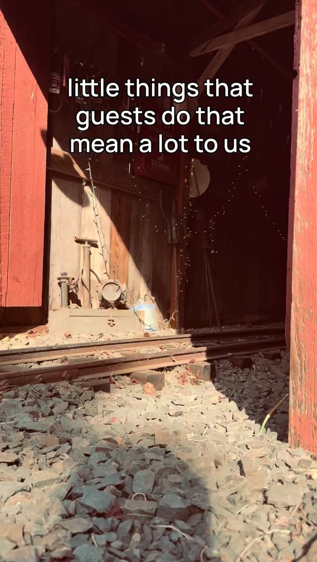 The little things really do mean the most. 🥹❤️
When you tag us, share our posts, tell a friend, or send someone our way…we notice. And we’re SO grateful.
We’re just a little family owned park trying to create fun, nostalgic memories for your families, and having you guys help spread the word means more than you probably realize. 🚂🎃
So if you’ve been here before, consider this your sign to tag us in those photos, share our page, or tell your people about us. 🥰
That’s how our little train keeps chugging along. ❤️
#TennesseeThunder #LebanonOregon #OregonFamilyFun #OregonWithKids #PNWFamily