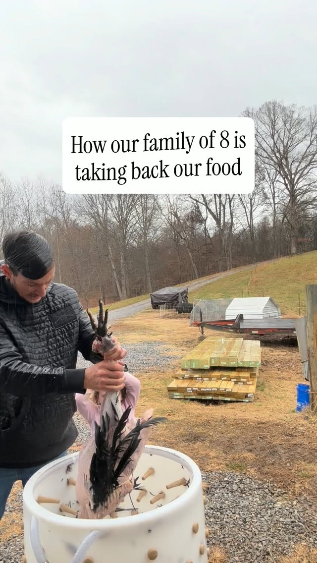 Real food > fake crap