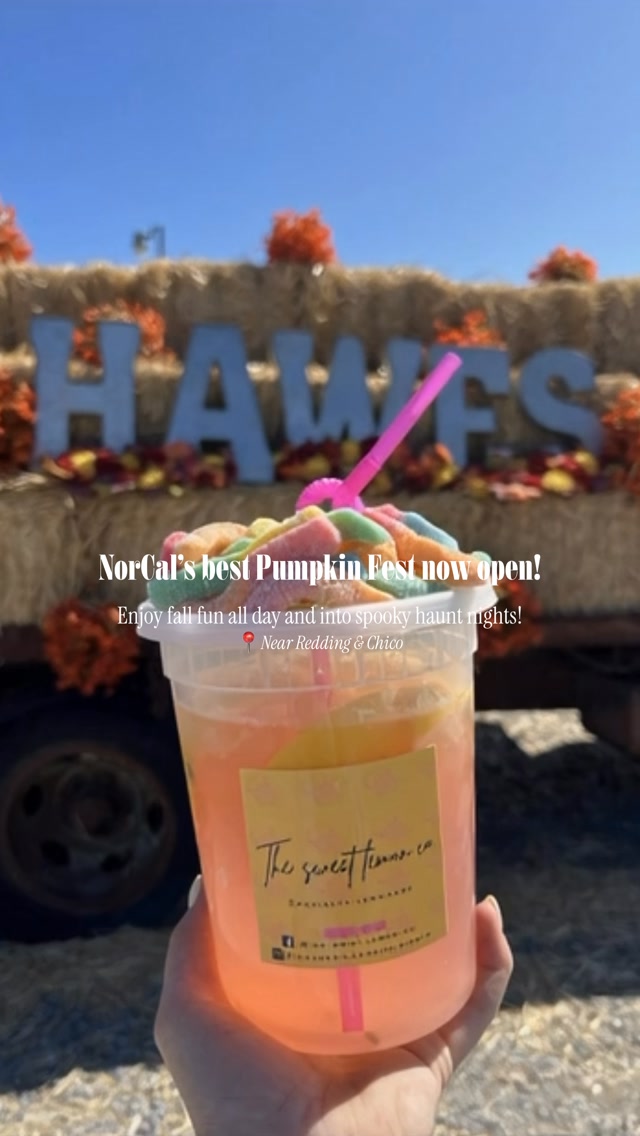 NorCal, consider your fall plans handled!! 🎃
October weekends belong at the pumpkin patch! ✨
💀 Hawes Haunt begins October 9th!
🗓️ Fridays - Sundays thru November 1 | Closed this Sun.
📍Historic Hawes Farm | 6465 Deschutes Rd, Anderson, CA