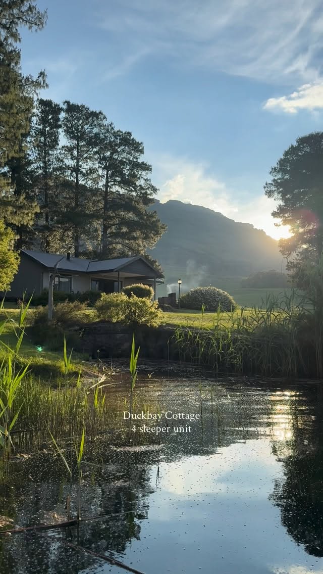Duckbay Cottage 🌿
Tucked away beside the water, surrounded by mountains, open space and absolute quiet.
Slow mornings. Long walks. A glass of wine by the fire. Nothing you need to rush for and nowhere else you need to be.
Sleeps 4. Completely private. Right on the lake.
Come disappear into the Drakensberg for a while. 🤍
Book direct at giantscup.co.za
#goplaces #getaway #weekendgetaway #familygetaway❤️ #nature