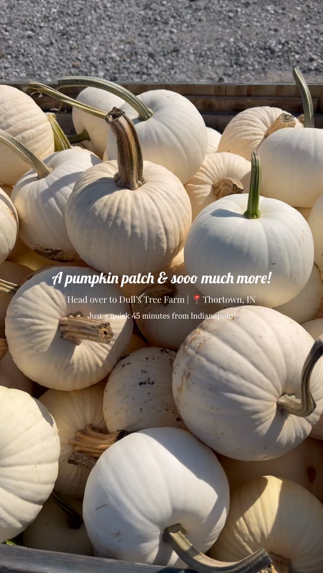 Think Dull’s is just a pumpkin patch? Think again! 🎃✨
With 45+ attractions, pumpkin picking, barrel train rides, corn maze adventures, and so much more, there’s a full day of fall fun waiting for you!
📍 Dull’s Tree Farm | 1765 W. Blubaugh Ave, Thorntown, IN 46071