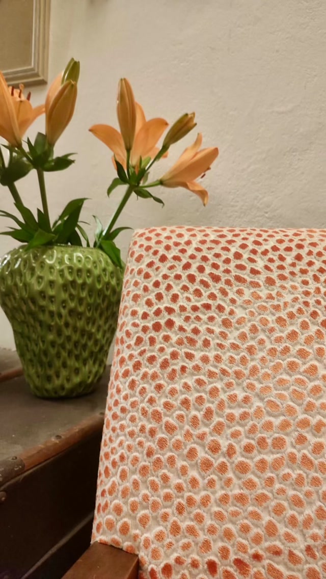 Réfection complète d’un fauteuil de Style Art Déco.
Finition cloutée et couture main invisible.
Tissu @casaltissus Saseka col Sunset
Vous souhaitez donner un coup de fraîcheur à votre mobilier ?
🔗Suivez le lien en bio pour nous exposer votre projet.
#artisansgardois
#savoirfairefrancais
#artdeco
