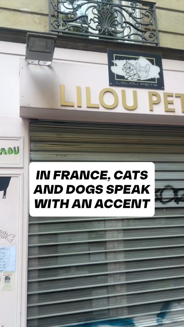 France is not safe around me Pt 4… what do animals say in your country? I’m legitimately curious. 🐱🐶