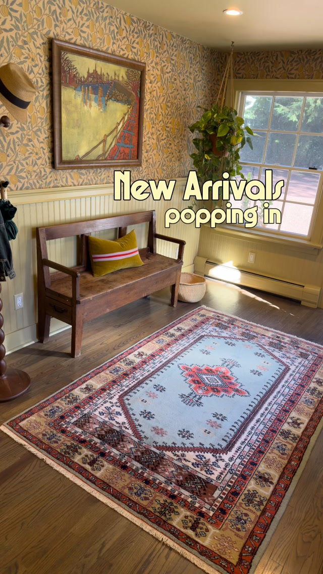 🍁A little reel with a lot of sweet vintage ladies hitting the site! THURSDAY, 7:30pm EST on the dot, each one-of-a-kind…always!
It’s definitely rug season, time to get warm & cozy🔥Hope you find your new favorite piece of handknotted floor art, made from pure wool, decades ago… they’re colorful, shockingly durable. totally cool and ready to head off to their next exciting adventure (in your home, we know it’s gotta be an adventure there, no?)
Sent the next day, with love❤️
DM anytime, IKYK I’m here👋🏼 & I answer quickly!! Need prices or more pics? Cool cool. On it.
Thanks for being here, rug fam!😘✌🏼
Don’t know what we’d do without you.
www.thehobbitdoorhouse.com
#thehobbitdoorhouse #vintagerugs #antiquerugs #finditstyleit