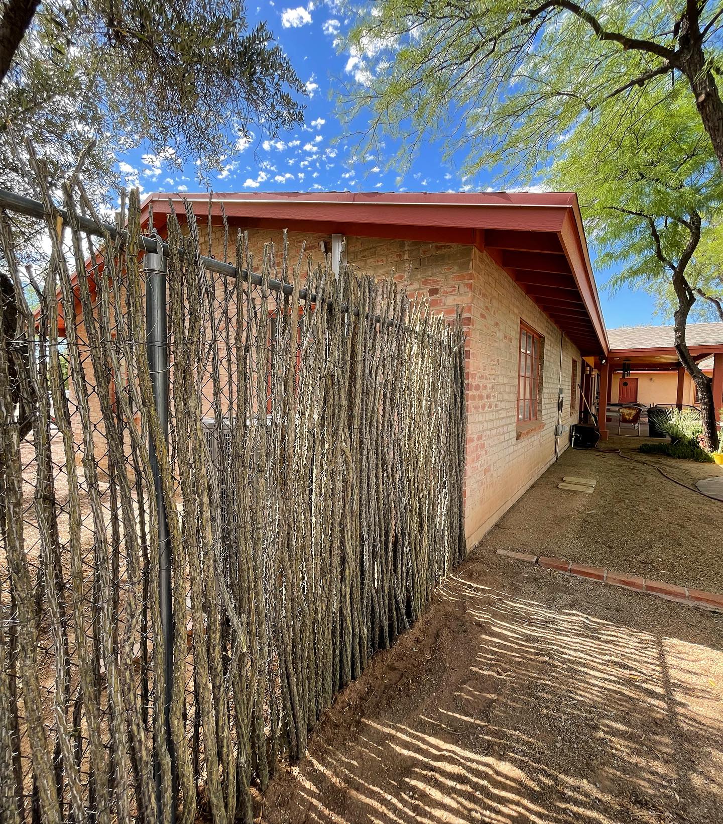 Choose ocotillo fencing for an attractive, sustainable, and practical solution that connects you to the desert environment enhancing privacy and security with dense, thorny branches.🌵
#sonoranocotillo #ocotillofence #livingfence #sonorandesert #tucsonaz #phoenixaz #southerncalifornia #desert #desertvibes #ocotilloplant #desertdwellers #desertlife #cattlecountry #desertscape #desertliving #desertstyle #fencedesign #desertlandscape #homeandgarden #calilandscape #desertarchitecture #stickfence #ocotillo #fenceideas #desertoasis #deserthouse #desertbloom #desertgarden #ranchlife #deserthome