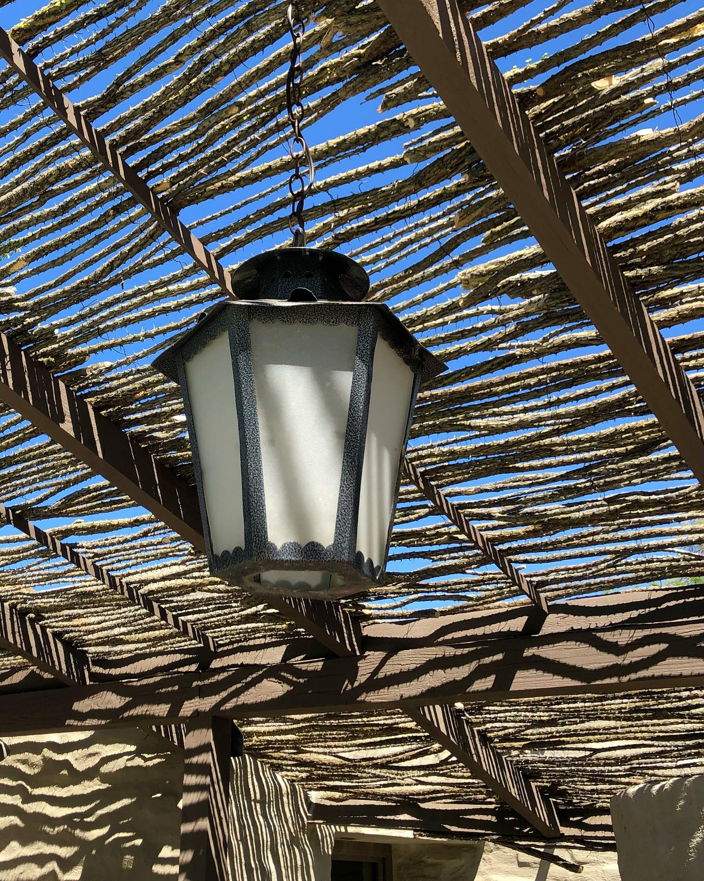 A unique way to add shade while still allowing airflow on your pergola🤍
#sonoranocotillo #ocotillofence #livingfence #sonorandesert #tucsonaz #phoenixaz #southerncalifornia #desert #desertvibes #ocotilloplant #desertdwellers #desertlife #scottsdale #plantnursery #desertscape #desertliving #desertstyle #fencedesign #desertlandscape #homeandgarden #calilandscape #desertarchitecture #stickfence #ocotillo #fenceideas #desertoasis #deserthouse #desertbloom #desertgarden #deserthouse #deserthome
