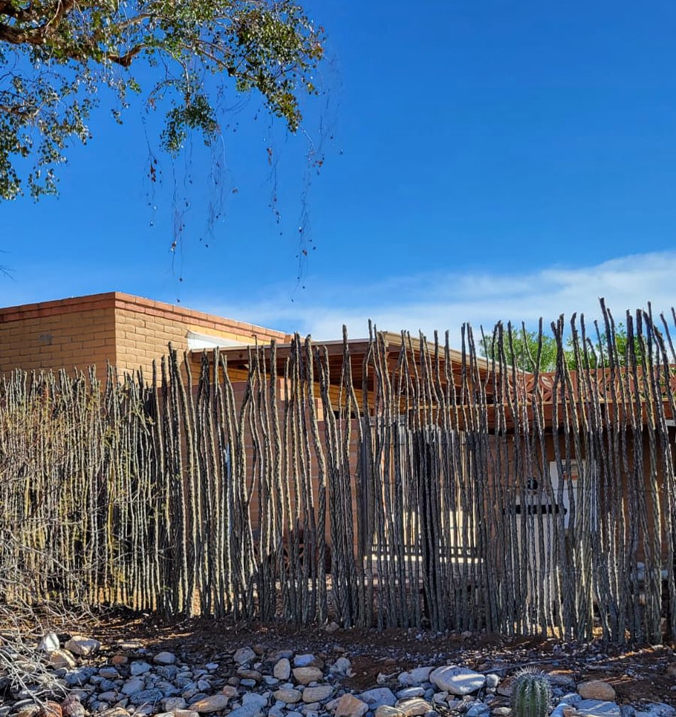 Transform your outdoor area effortless! Say goodbye to unsightly outdoor equipment and say hello to added privacy with stunning natural ocotillo panels. The perfect touch for your desert oasis🌵
#sonoranocotillo #ocotillofence #livingfence #sonorandesert #tucsonaz #phoenixaz #southerncalifornia #desert #desertvibes #ocotilloplant #desertdwellers #desertlife #cattlecountry #desertscape #desertliving #desertstyle #fencedesign #desertlandscape #homeandgarden #calilandscape #desertarchitecture #stickfence #ocotillo #fenceideas #desertoasis #deserthouse #desertbloom #desertgarden #ranchlife #deserthome