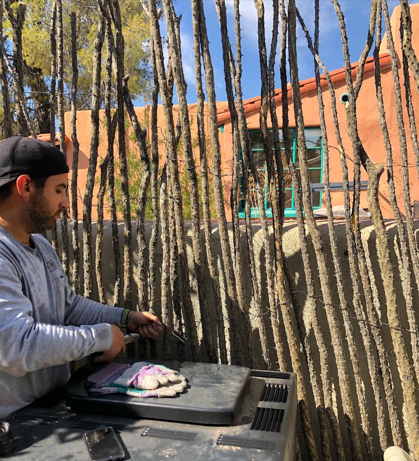 Temperatures are high🔥🥵 but we install all year round so you don’t have to😉 contact us for a free quote!
#sonoranocotillo #joshuatree #ocotillofence #livingfence #joshuatreecalifornia #sonorandesert #tucsonaz #phoenixaz #southerncalifornia #desert #desertvibes #ocotilloplant #desertdwellers #desertlife #scottsdale #plantnursery #desertscape #desertliving #desertstyle #fencedesign #desertlandscape #homeandgarden #calilandscape #desertarchitecture #stickfence #ocotillo #fenceideas #desertoasis #deserthouse #desertbloom