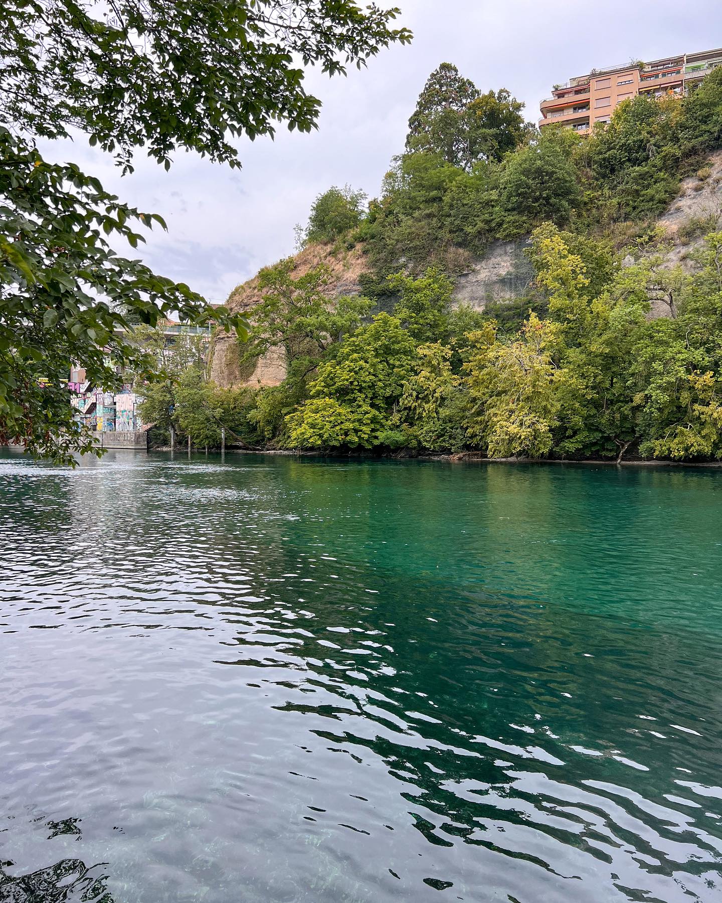 🇨🇭