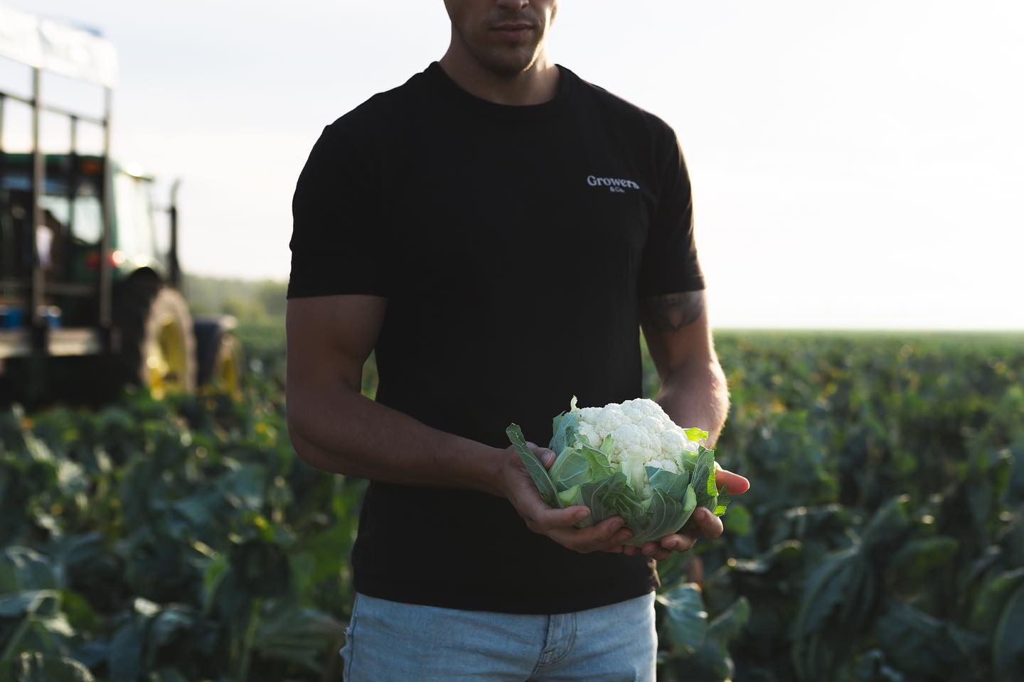Cauli szn 😎