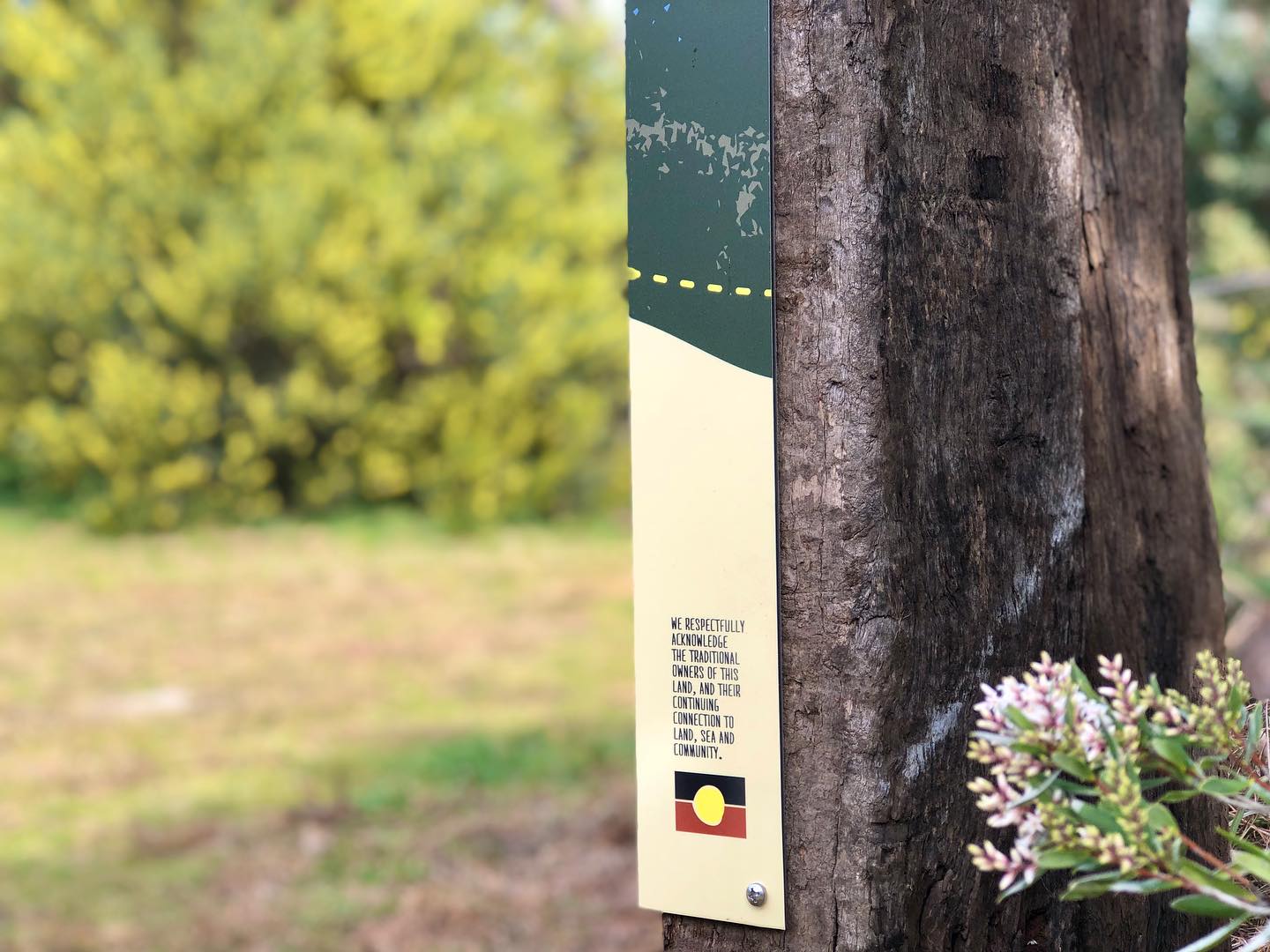 Venus Bay is one of the few places left on earth where people are fortunate enough to be able to live amongst healthy populations of an abundant array of native Australian wildlife.
This recent signage roll out consisted of 53 graphic panels mounted on recycled posts, strategically placed throughout 10 acres of woodland located in the center of Venus Bay’s 2nd estate.
The purpose of this project was to create a common understanding amongst community members and visitors to this growing region, about the significance of the Venus Bay peninsula’s Coast Banksia Woodland habitat. This CBW Ecological Vegetation Class is listed as vulnerable, with approximately 90% of this region’s forests cleared for agriculture since colonial settlement.
#redmulletcreative #environmentalgraphicdesign #environmenalsignage #habitatforwildlife #venusbay #venusbayvictoria #gippsland #southgippslandshirecouncil