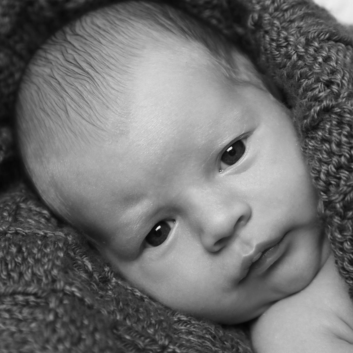Got to hang out with this little man. So relaxed. I love when they are so tiny ā¤ļø #newbornphotoshoot #yycbabies