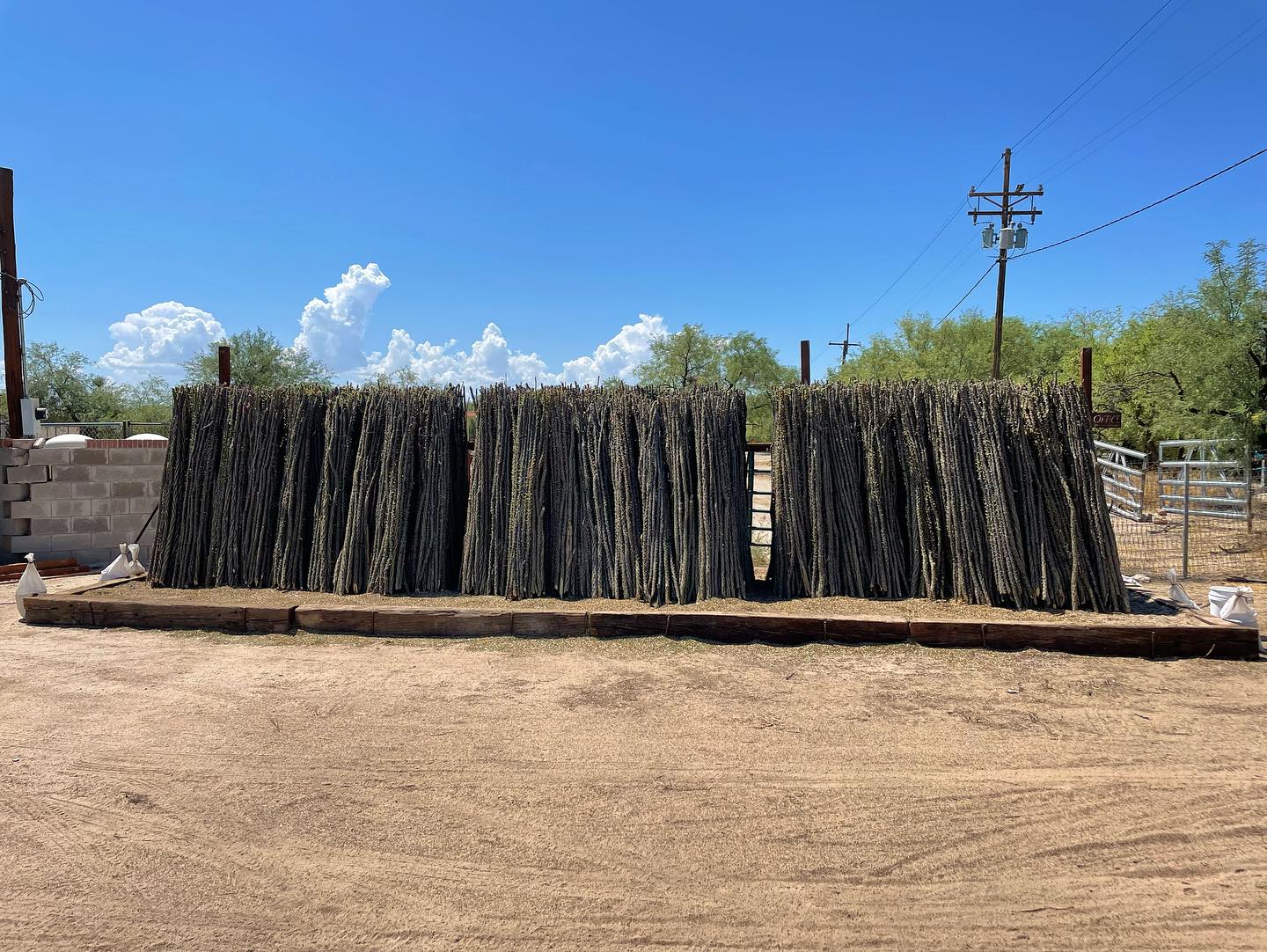 🌿NEW INVENTORY🌿 - Embrace the desert vibes and bring home a touch of the Sonoran Desert 🌵
#sonoranocotillo #ocotillofence #livingfence #sonorandesert #tucsonaz #phoenixaz #southerncalifornia #desert #desertvibes #ocotilloplant #desertdwellers #desertlife #scottsdale #plantnursery #desertscape #desertliving #desertstyle #fencedesign #desertlandscape #homeandgarden #calilandscape #desertarchitecture #stickfence #ocotillo #fenceideas #desertoasis #deserthouse #desertbloom #desertgarden #deserthouse #deserthome