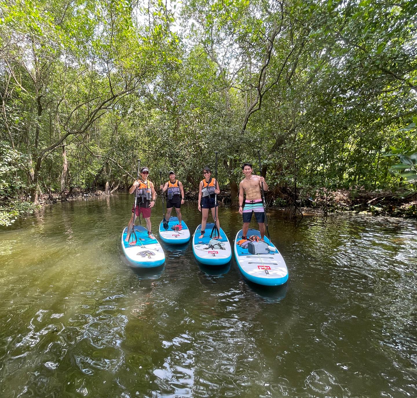 Simpang Mangroves!