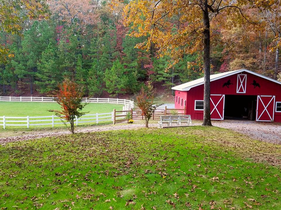 Fall is a great time for a #horseride to see scenic views of tree colors. And . . . the temps are unusually comfortable now. $10 per day per person/horse. Open sunrise to sunset.