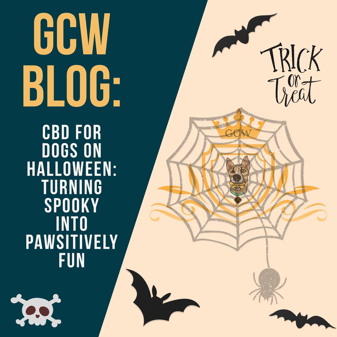 Check out our latest blog! Link in Bio!
💀👻🎃🦴CBD for dogs on Halloween: Turning spooky into pawsitively fun! 🦴🎃👻💀
🐾 #CBD #Dog #woof #dogsofinstagram #viral #spooky #Halloween #Spooky #monsters #trickortreat #trick #treat #dogs #dogstagram #doglover #instadog #doglovers #doglife #pets #puppylove #puppies #puppiesofinstagram #dogsofinsta #petsofinstagram #dogslife #doggo #ilovemydog #doglove #petstagram