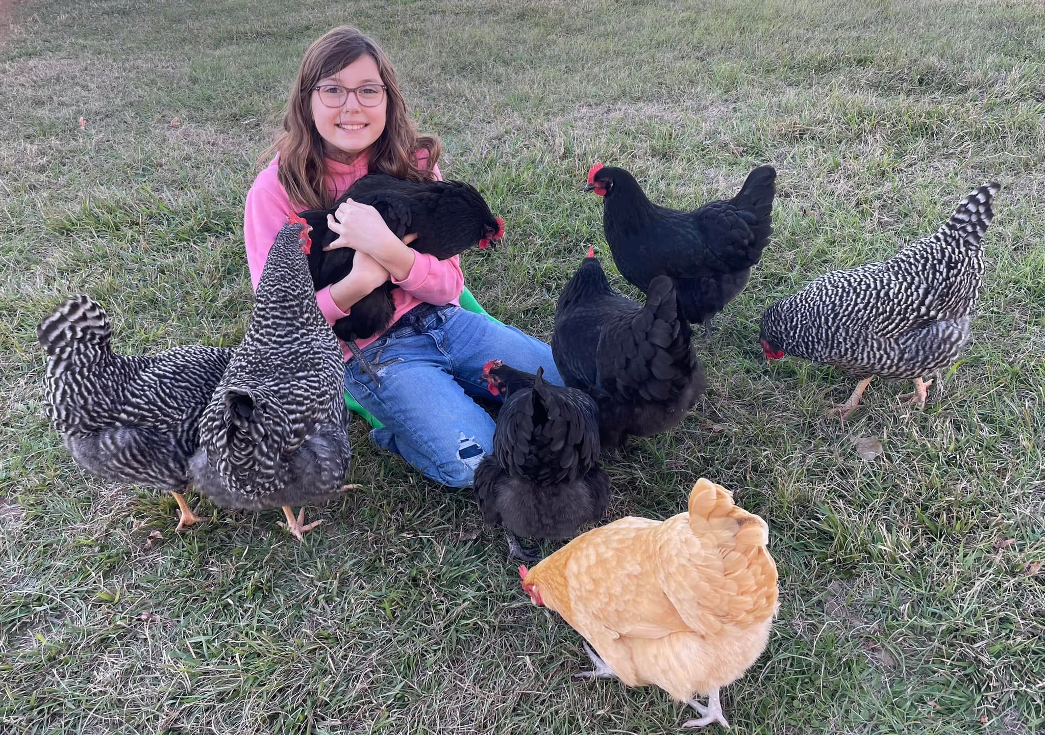 She’s in her happy place 🐓
