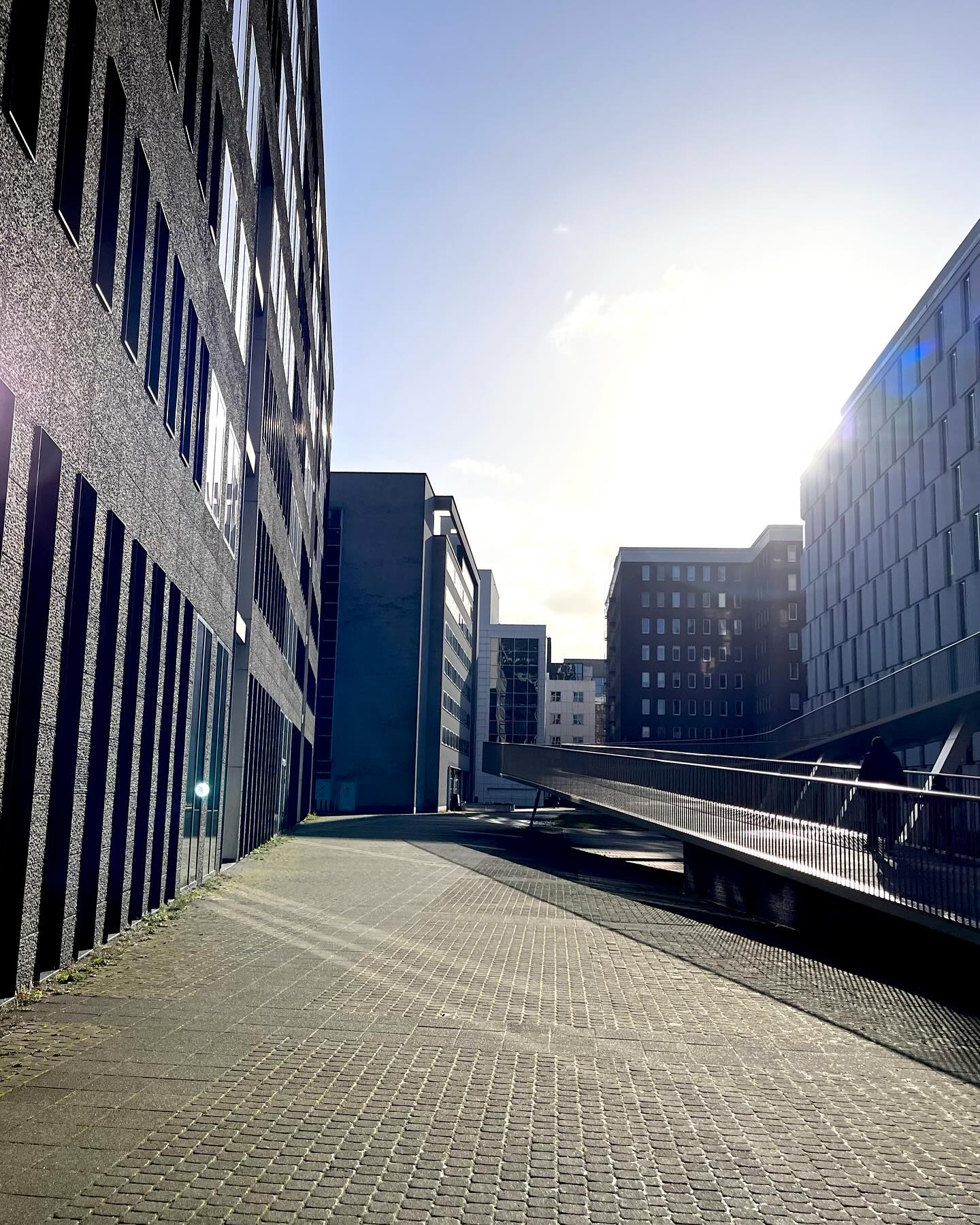 Clean shot ๐๐ผ #antwerp #belgium๐ง๐ช
.
.
.
On our way to do a shot on the bridge - my head turns right as the sun drops its rays on our beautiful city ๐.
In my head, Iโm like a second or two thereโs the question every photographer probably gets ๐ โShould Iโฆ?โ AND I SHALL! Thank you smartphone for existing. Sorry camera, it had to be quick. I end up loving this urban shot ๐คฉ
Itโs the little things- itโs always the little thingsโฆ ๐
#city #antwerp #urban #urbanphotography #sun #banana #iphone #mobilephotography #quickshot #vibes #weekend