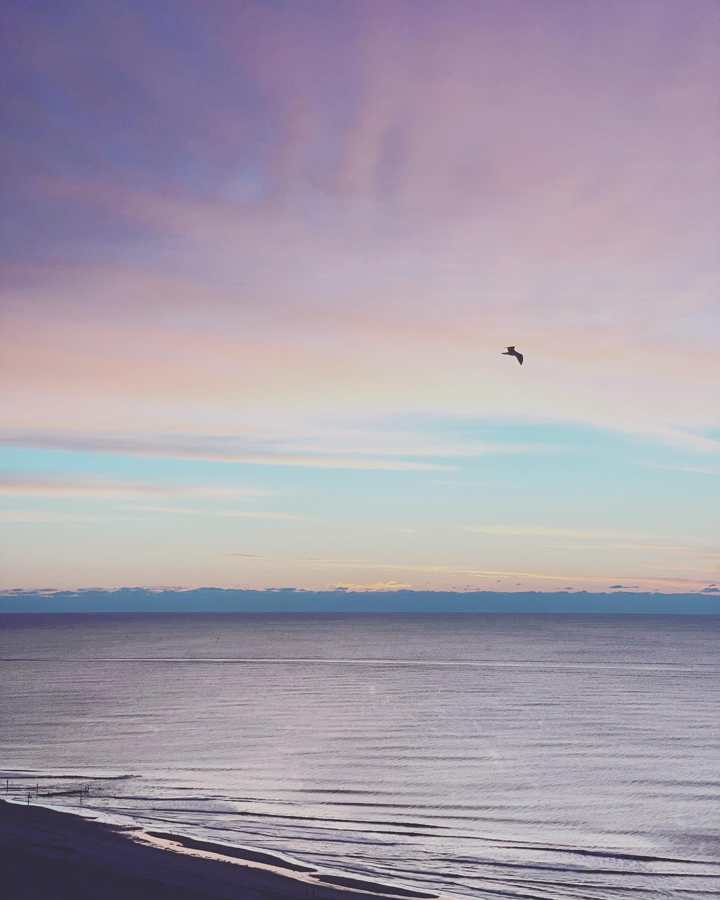 This melody reverberates in my noggin often. It usually accompanies a theme of “nothing really matters” and “don’t sweat the small stuff” la-de-daaa’s …followed by a bunch of Ram Dass quotes rattling around. ✨Stay light my friends.✨This time of year emotions can be heightened and here’s my wittle reminder that it’s ALLLLL just GRAVY. And we are all imperfect humans. I’m betting that bit will never change in this lifetime. Stay coastin’ 🌊🌊🌊