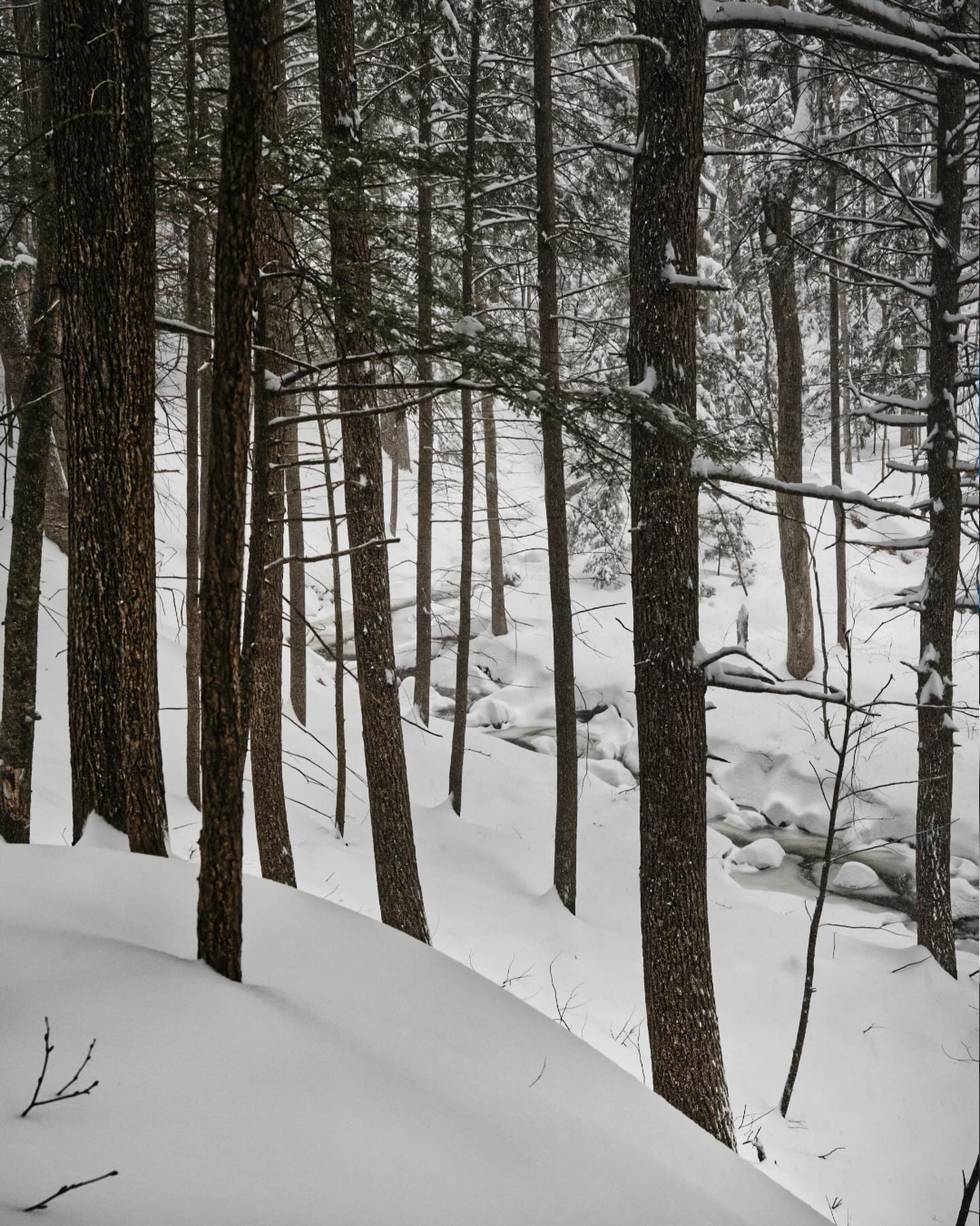 Mother Nature Giving The Last Bits Of Winter Here.
Get Outside. Get Inspired. Get Creative.